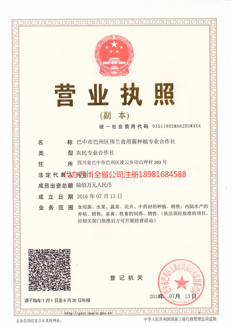 泸水泸水伟兰食用菌种植专业合作社